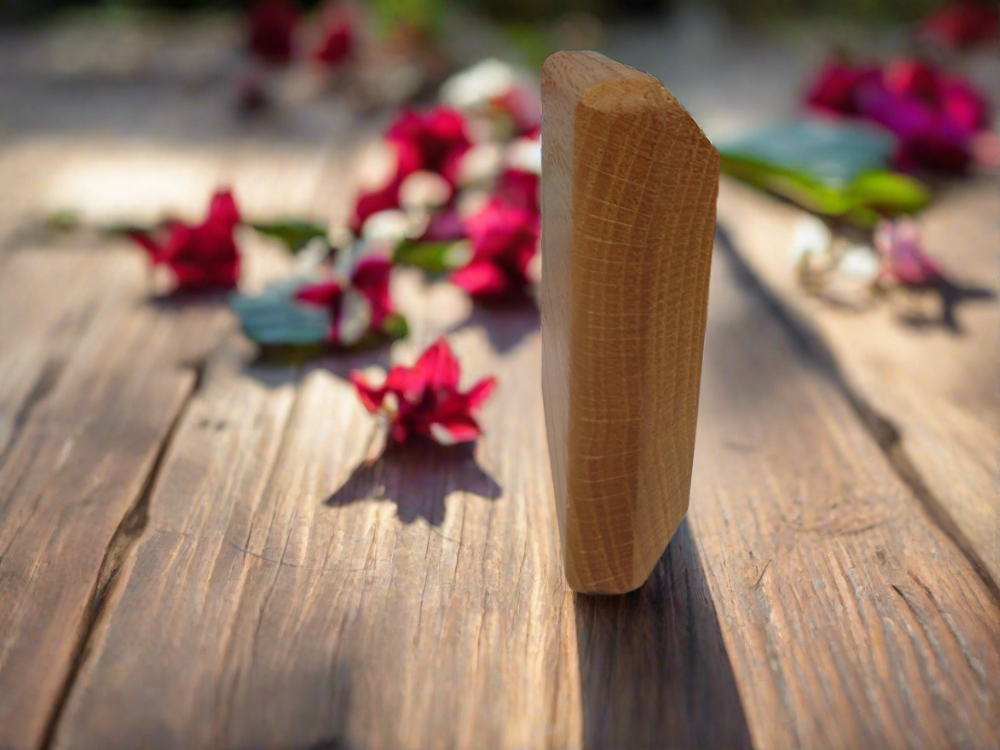 Dog Dumbbell High Angle Board Working