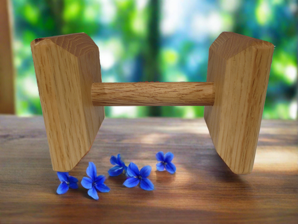 Dog Dumbbell High Angle Board Working