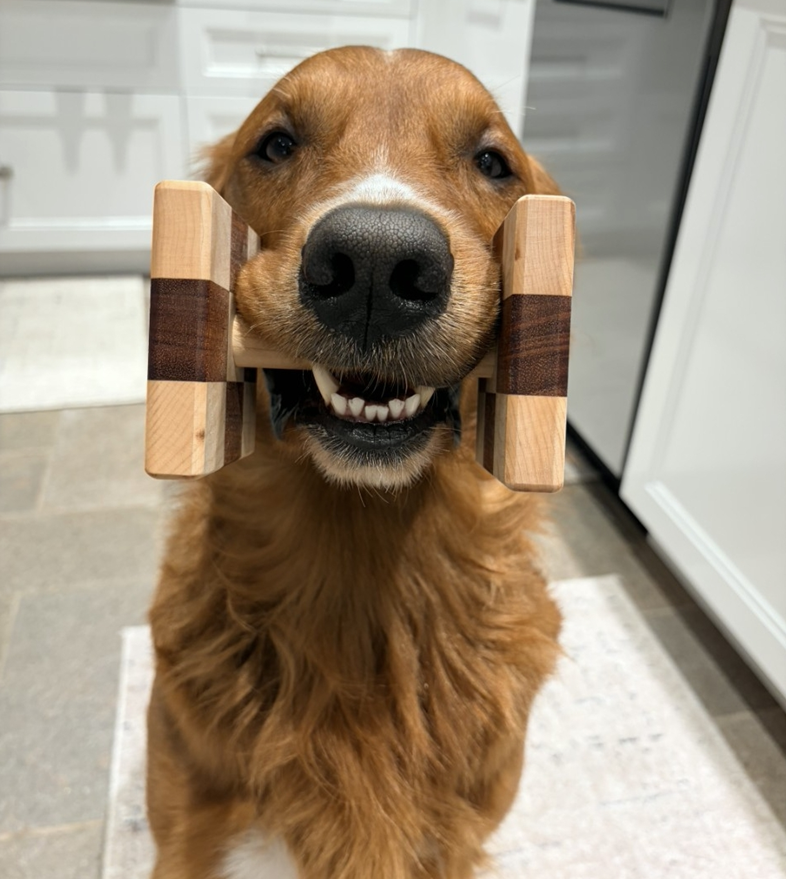 Single Bar Scent Article 7 Units Checker Board Curly Maple and Mahogany Board Working