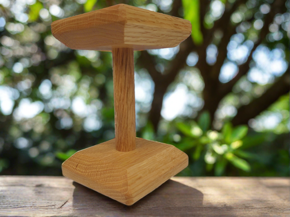 Dog Dumbbell High Angle Board Working