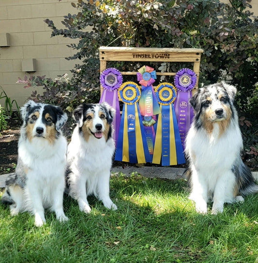 Personalized Dog Show Ribbon Rack